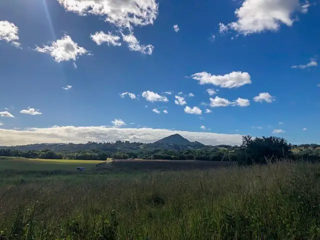 Eumundi: Memorial Drive Walk