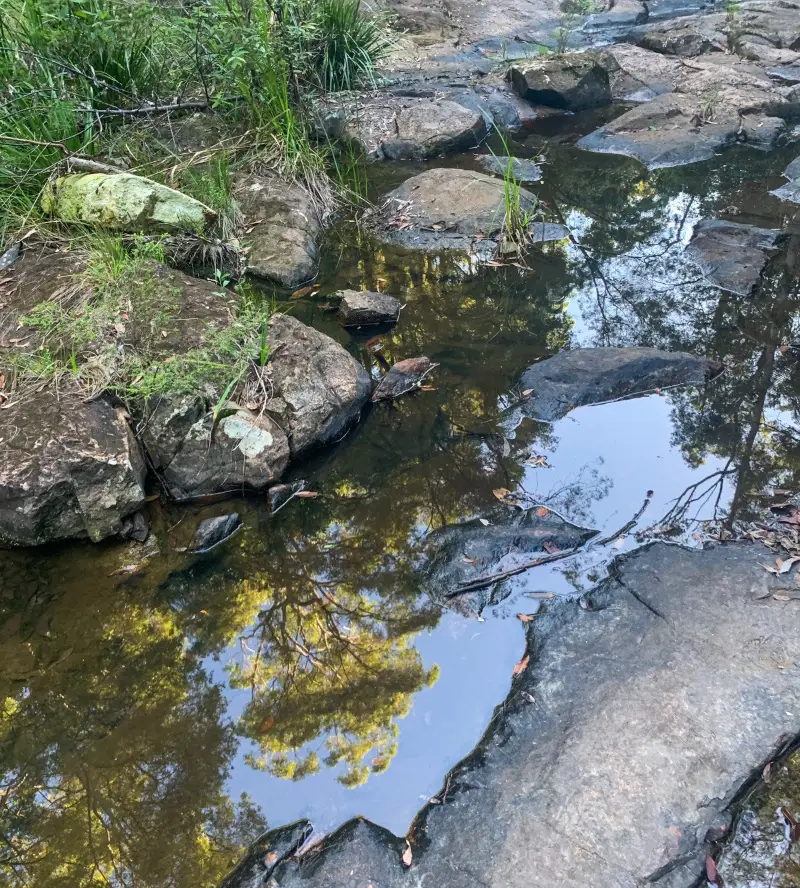 Parklands Conservation Park - Rocky Creek Circuit