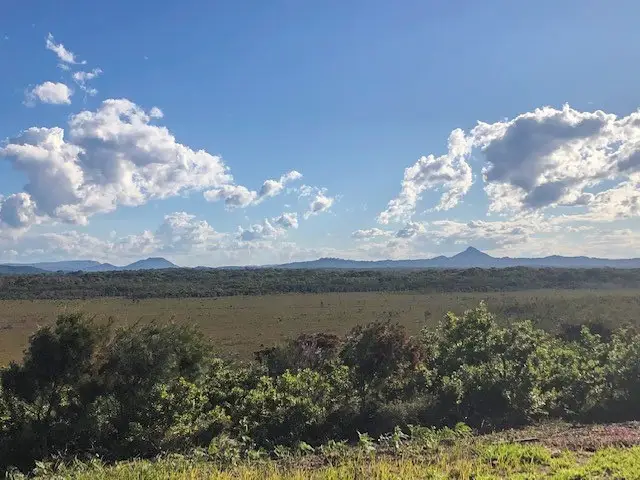 Peregian Beach: National Park Fringe Walk