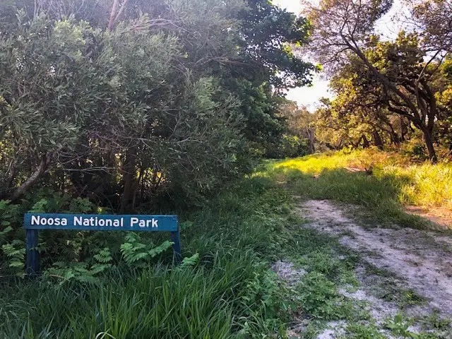 Peregian Beach: National Park Fringe Walk