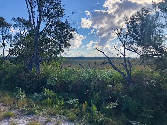 Peregian Beach: National Park Fringe Walk