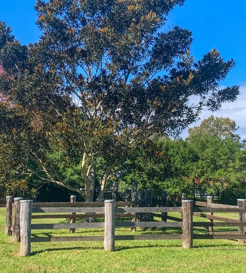 Olsen Mill Park 