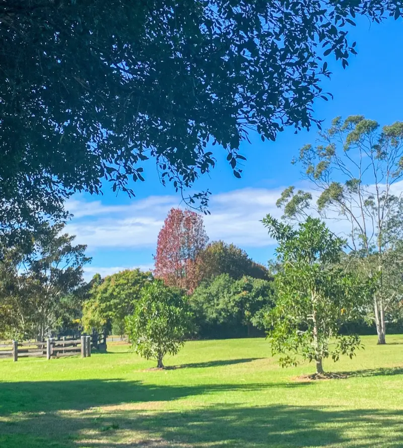 Olsen Mill Park 