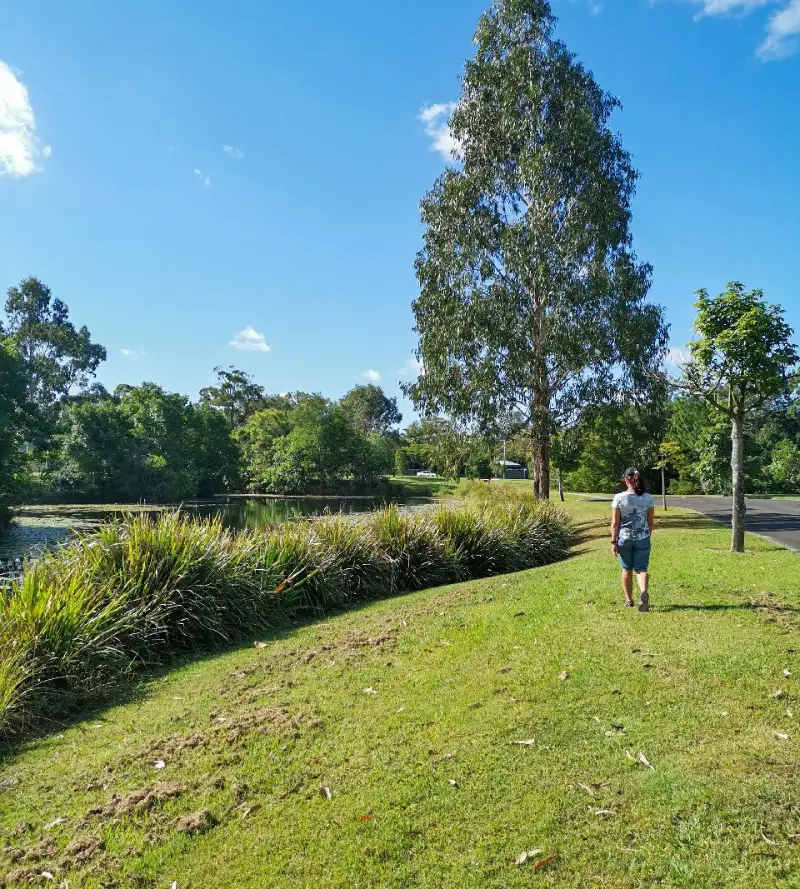 Mooloolah Town and Pond Walk