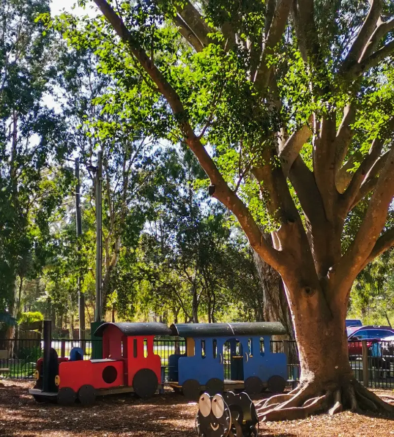 Mooloolah Town and Pond Walk