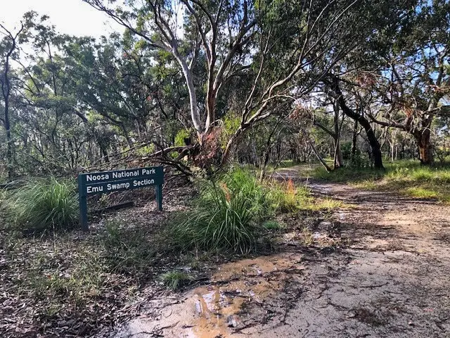 Peregian Breeze Park to Peregian Beach