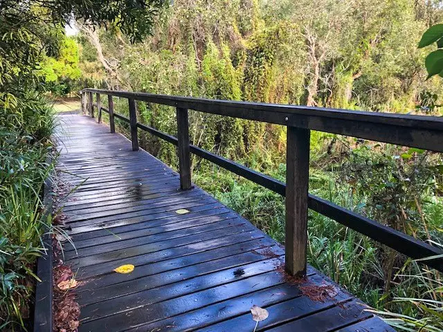 Peregian Breeze Park to Peregian Beach