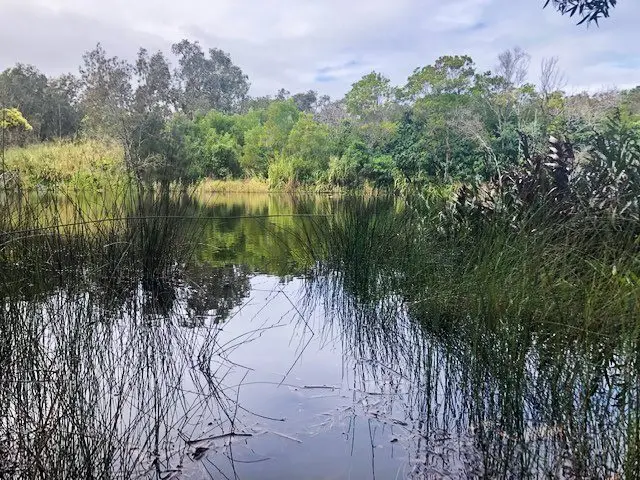 Coolum: Stumers Creek to Magenta Drive Park