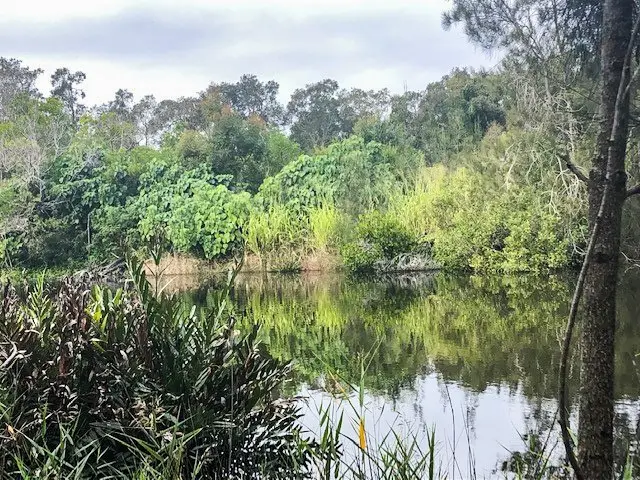 Coolum: Stumers Creek to Magenta Drive Park