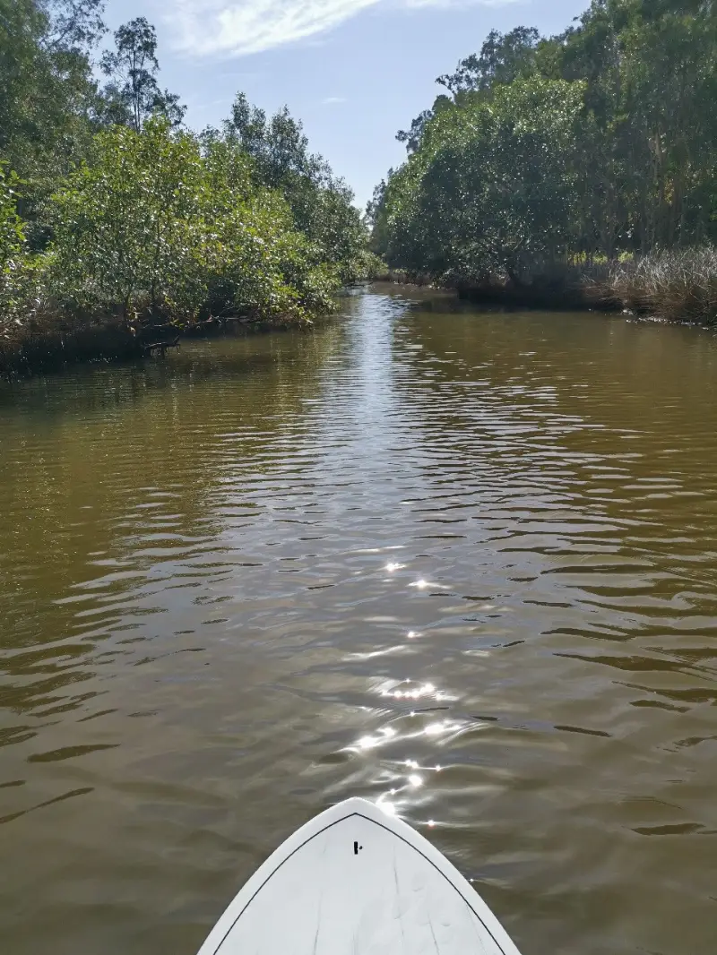Bill Kear Waterway Paddle