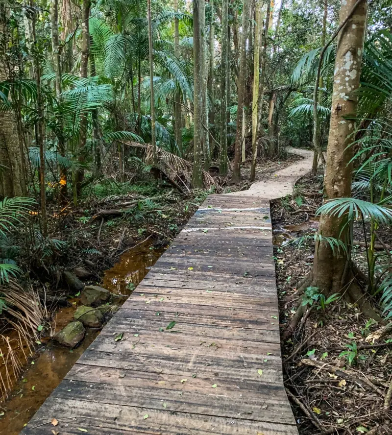 Kolora Park & Bushland Conservation Reserve
