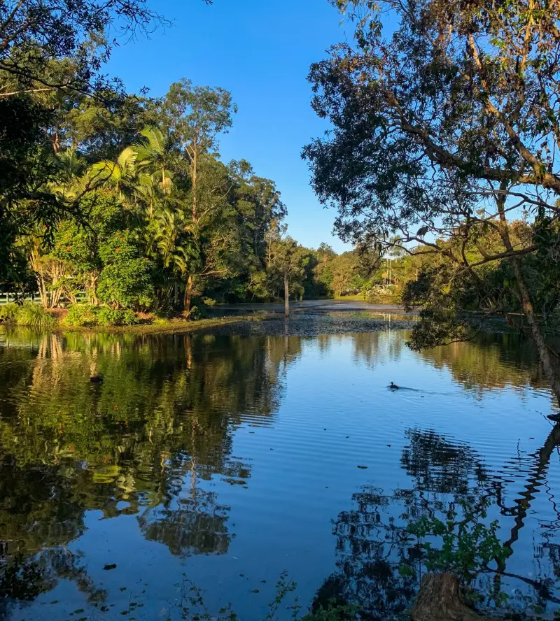 Kolora Park & Bushland Conservation Reserve