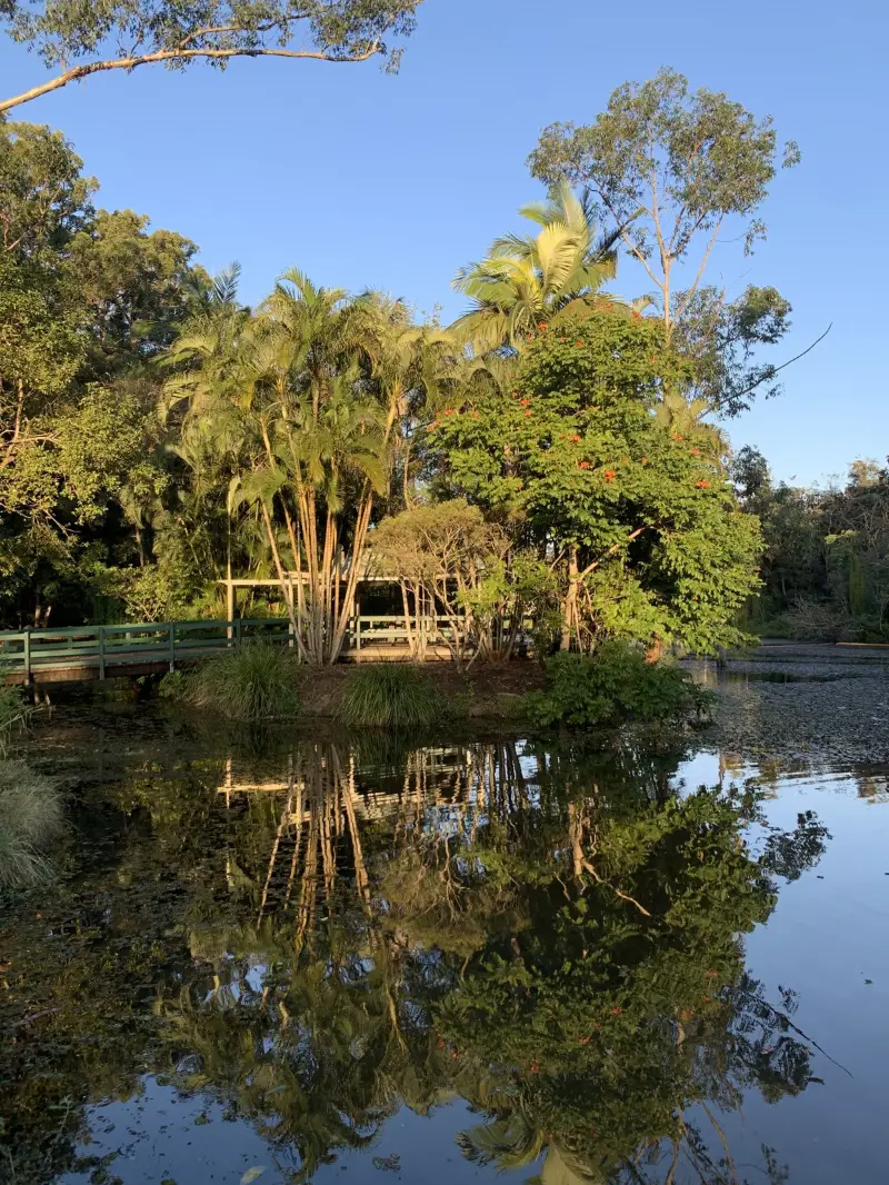 Kolora Park & Bushland Conservation Reserve