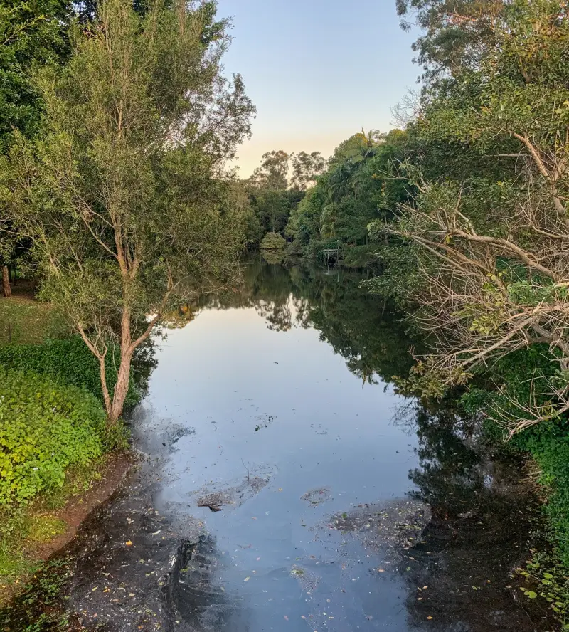 Palmwoods Town Walk