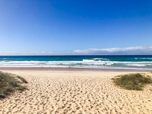 Marcus Beach to Castaways Beach Trail 