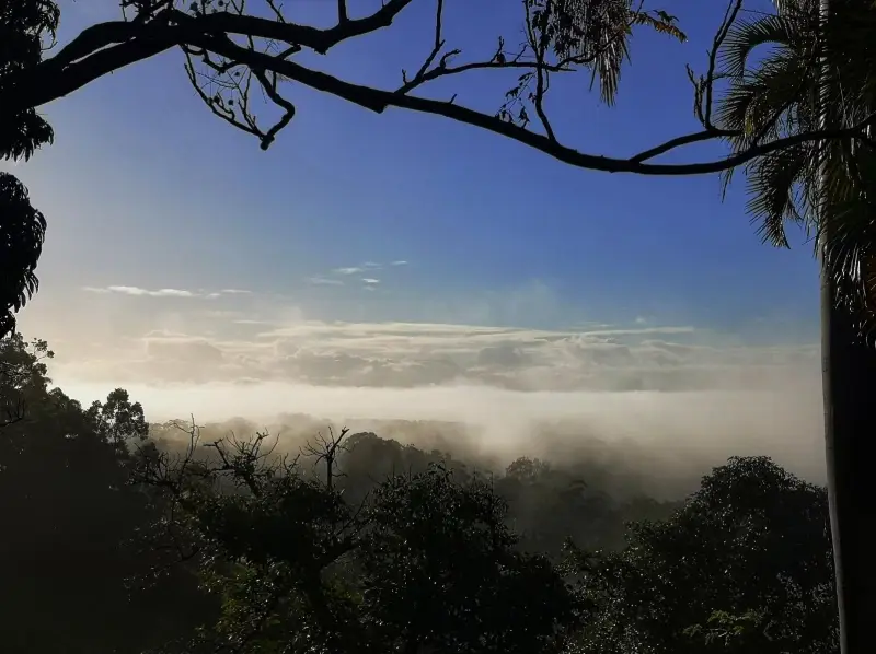 Woombye to Palmwoods Town Centres