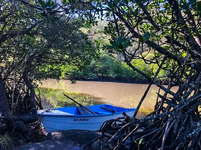 Tewantin: Cranks Creek Trail