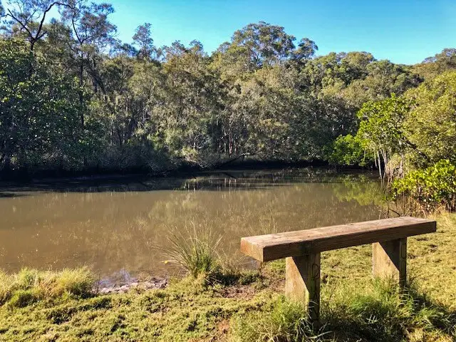 Tewantin: Cranks Creek Trail