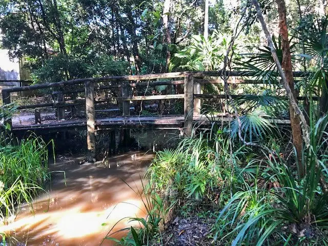 Tewantin: Cranks Creek Trail