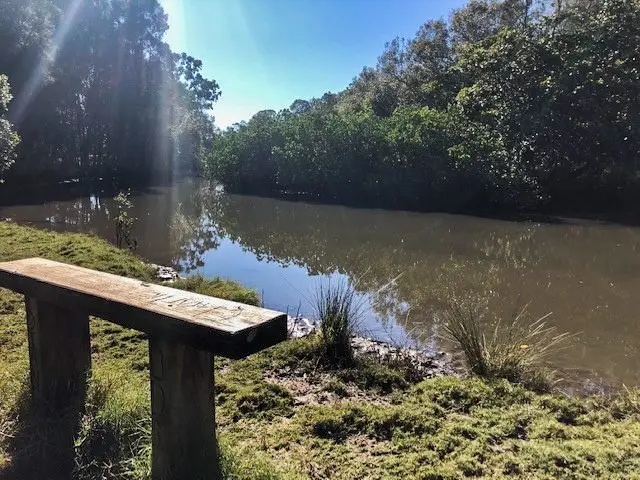 Tewantin: Cranks Creek Trail