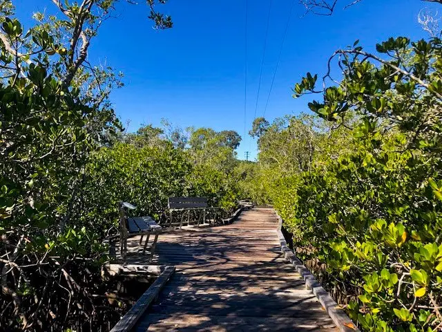 Noosa: Weyba Creek Track