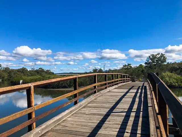 Noosa: Weyba Creek Track