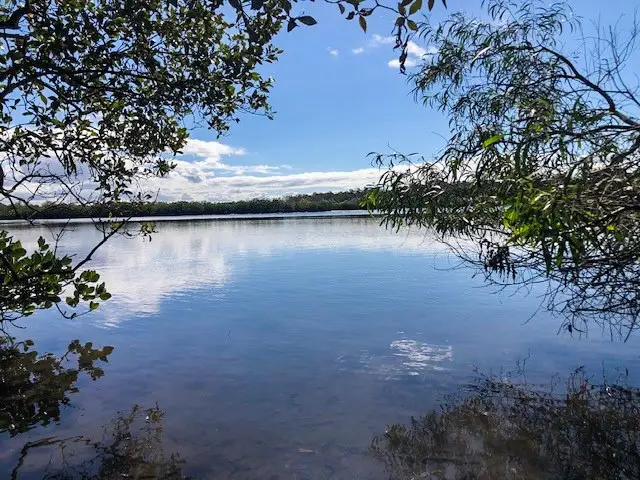Noosa: Weyba Creek Track