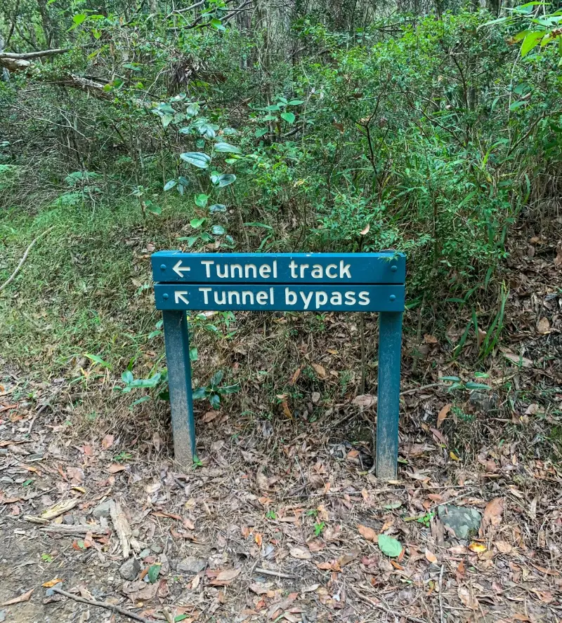 Dularcha National Park: Tunnel Track