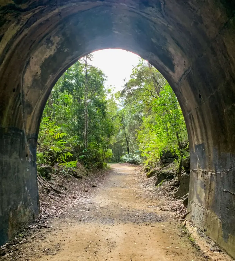 Dularcha National Park: Tunnel Track