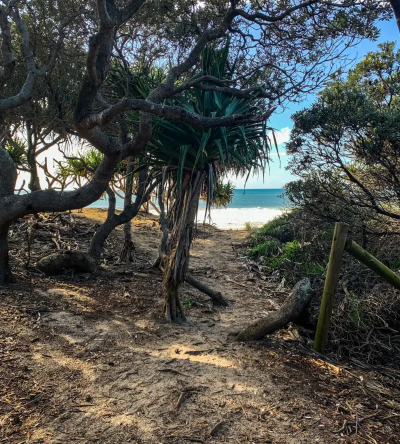 Coastal Pathway: Dicky Beach to Currimundi Lake