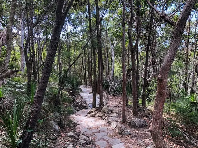 Mt Coolum National Park: Summit Walk