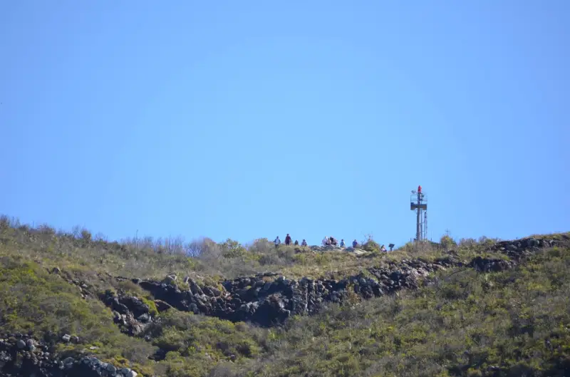Mt Coolum National Park: Summit Walk
