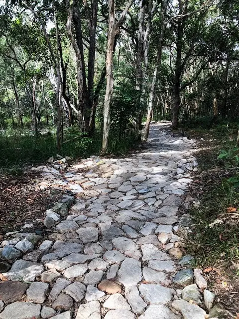 Mt Coolum National Park: Summit Walk