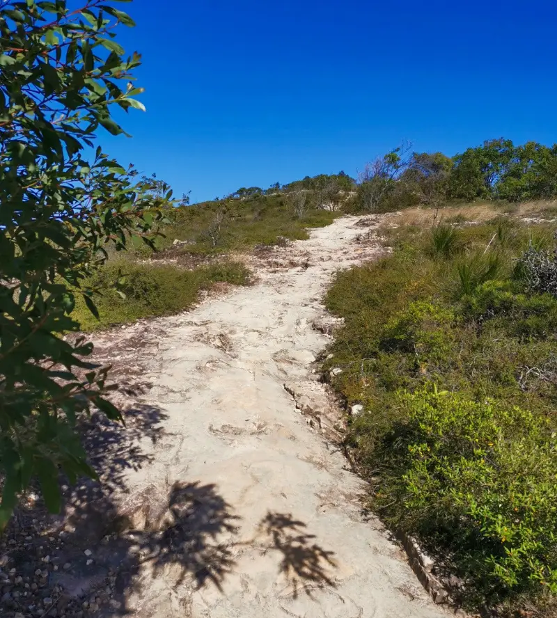 Noosa National Park: Emu Mountain