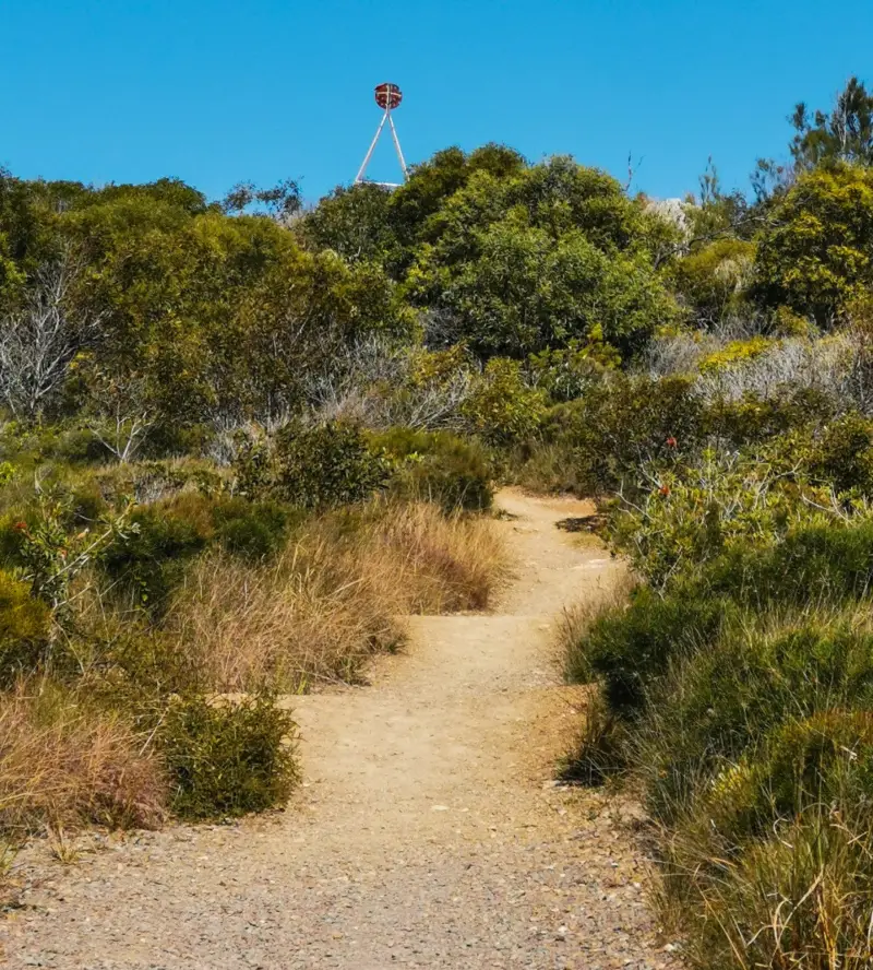Noosa National Park: Emu Mountain