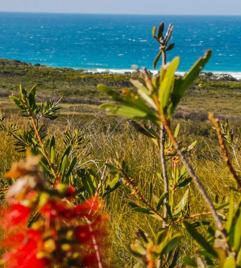 Noosa National Park: Emu Mountain