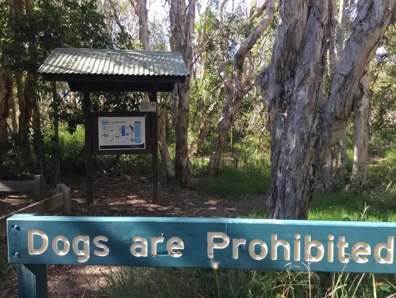 Noosa National Park: Peregian Section